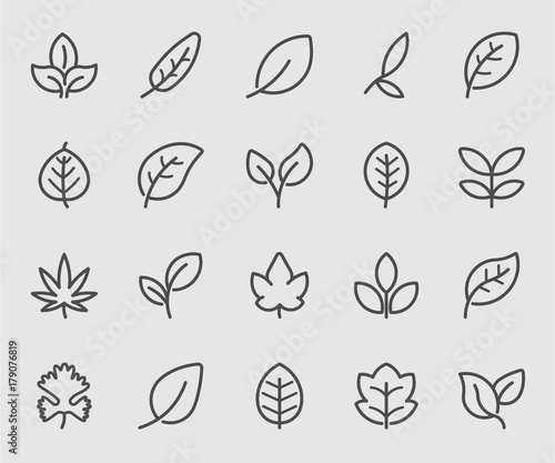 Leaf outline icon