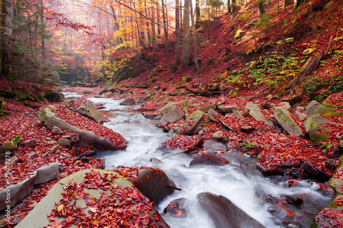 Magnificent view of the waterfall in the Autumn Beech Forest in Europe
