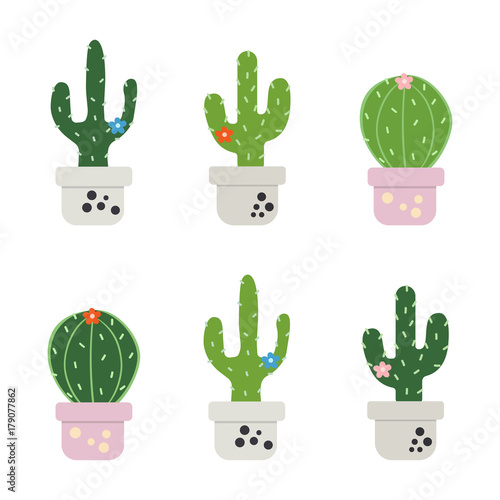 set of funny cactus photo