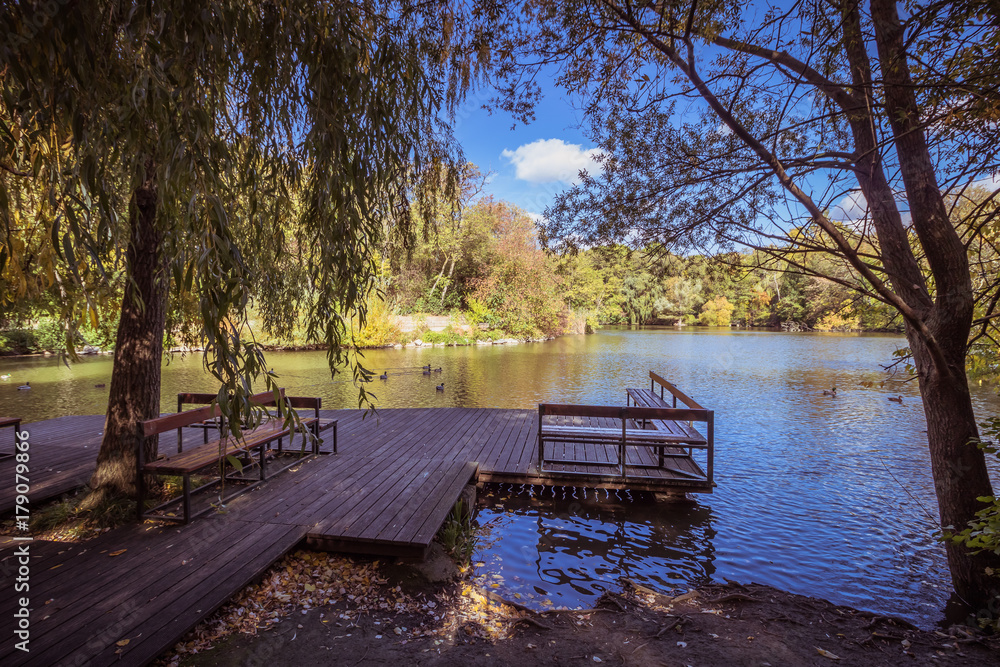 Fototapeta premium Herbst in Kurpark Oberlaa in Wien