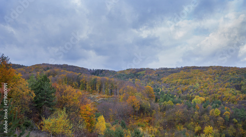 Forest in the fall with stormy clouds. Autumn concept © OttoPles