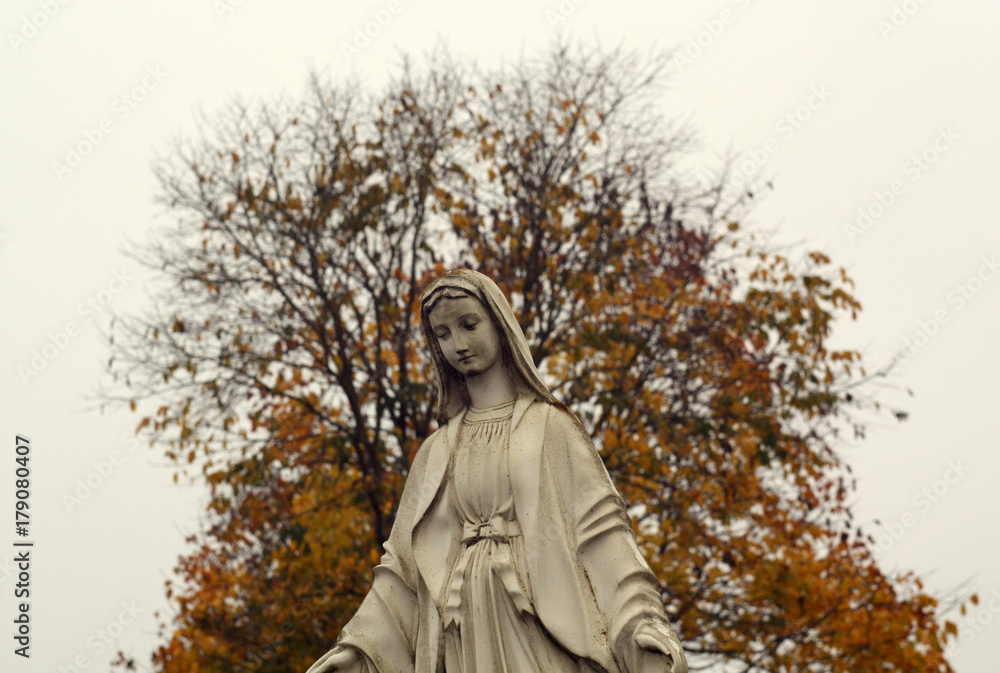 The Virgin Mary statue against orange tree. The Virgin Mary statue against orange tree.