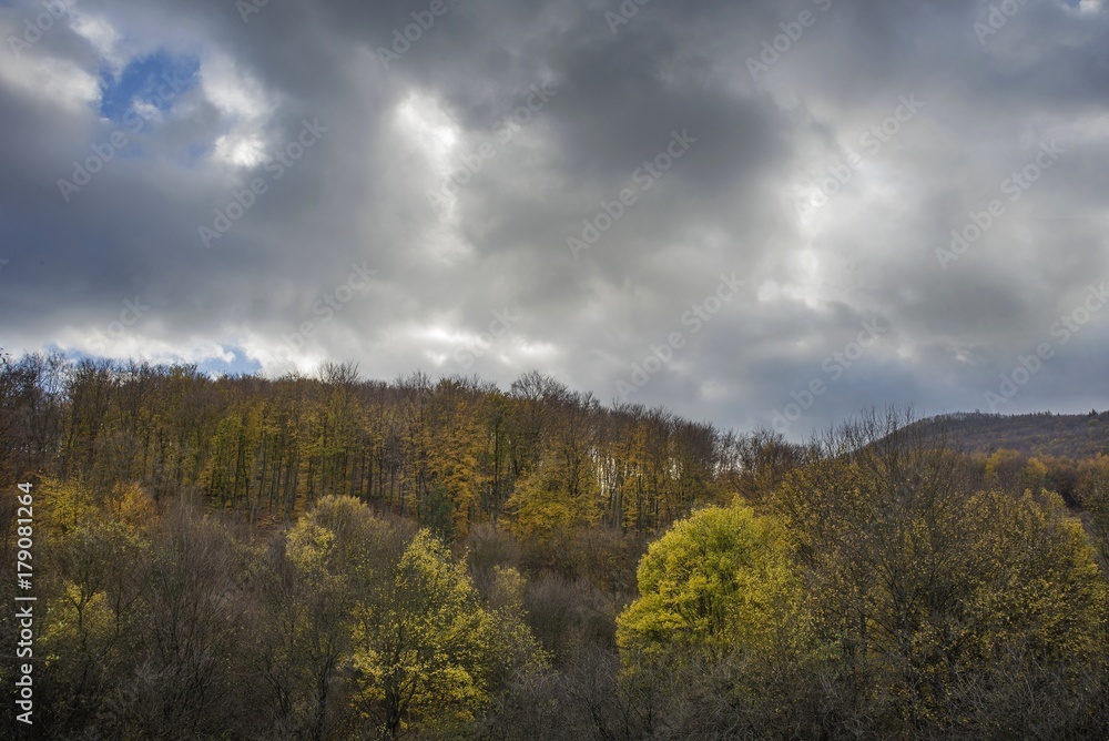 Forest in the fall with stormy clouds. Autumn concept Forest in the fall with stormy clouds. Autumn concept