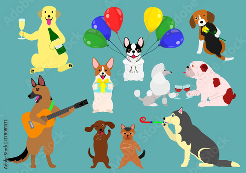 party dogs