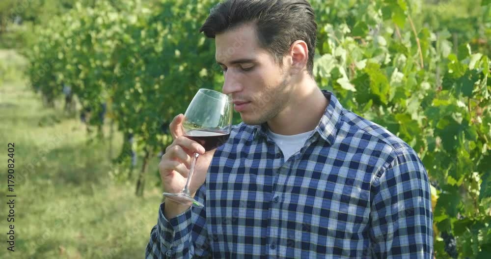 A winegrower in his vineyard smells and tastes a glass of high quality Italian or French wine, just produced with an excellent grape. Concept of: drink, wine, agriculture, bio. A winegrower in his vineyard smells and tastes a glass of high quality Italian or French wine, just produced with an excellent grape. Concept of: drink, wine, agriculture, bio.