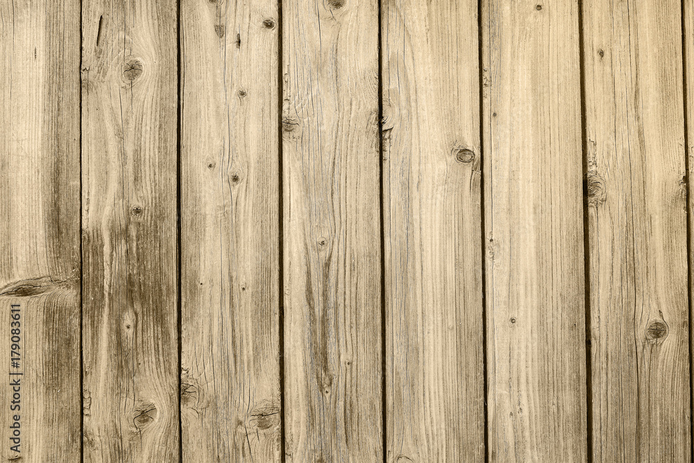 Background from an old shabby board. Background from an old shabby board.