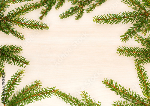 christmas background with fir tree branches