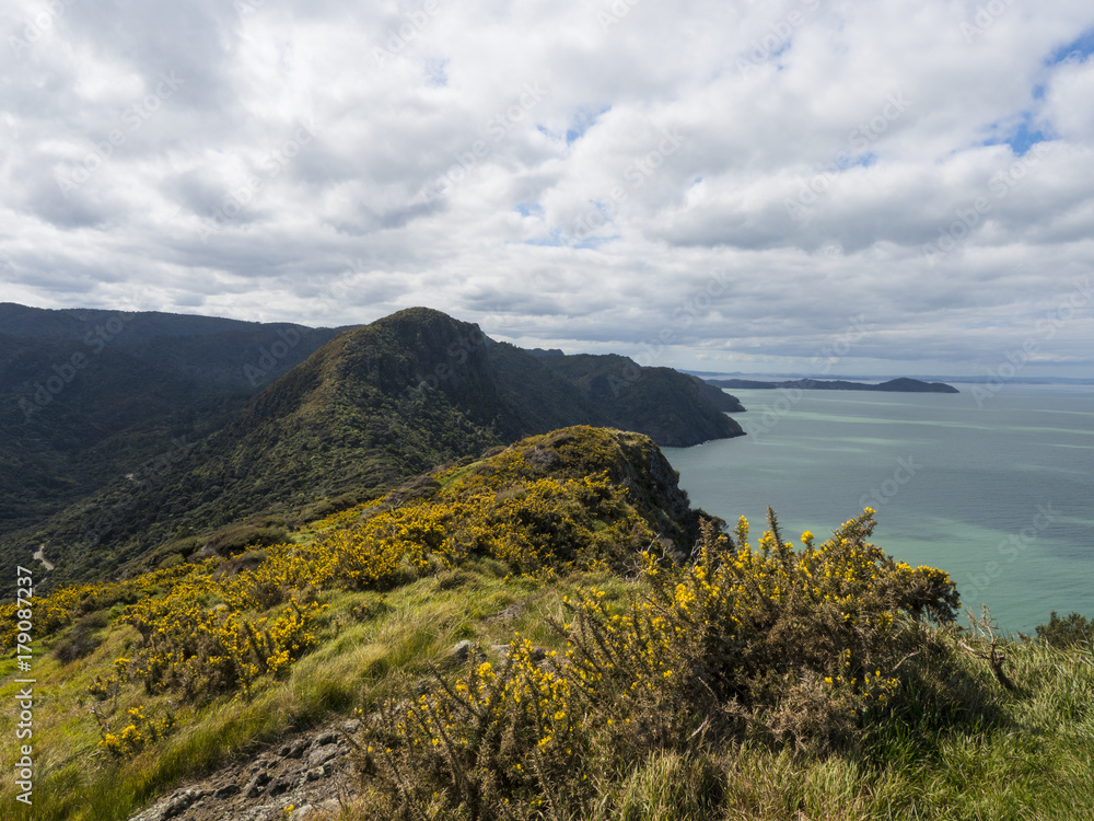 COASTLINE AT WAITAKERE REGIONAL PARK - AUCKLAND, NEW ZEALAND COASTLINE AT WAITAKERE REGIONAL PARK - AUCKLAND, NEW ZEALAND