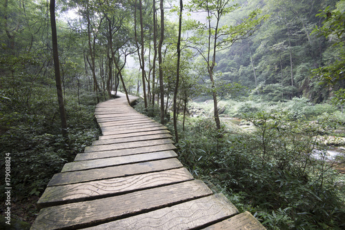 Zhangjiajie National Forest Park China