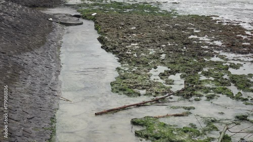 Wallpaper Mural Low season in the tropical resort, Big sea waves wash ashore the beach garbage and dirt, Bali, Indonesia Torontodigital.ca
