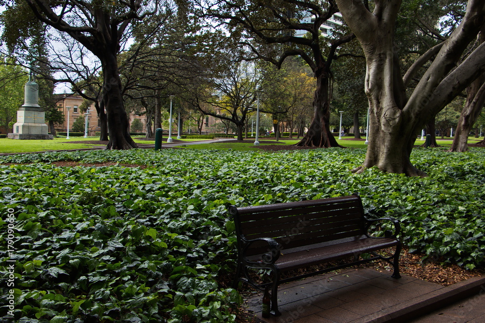 Fototapeta premium Hyde Park in Sydney
