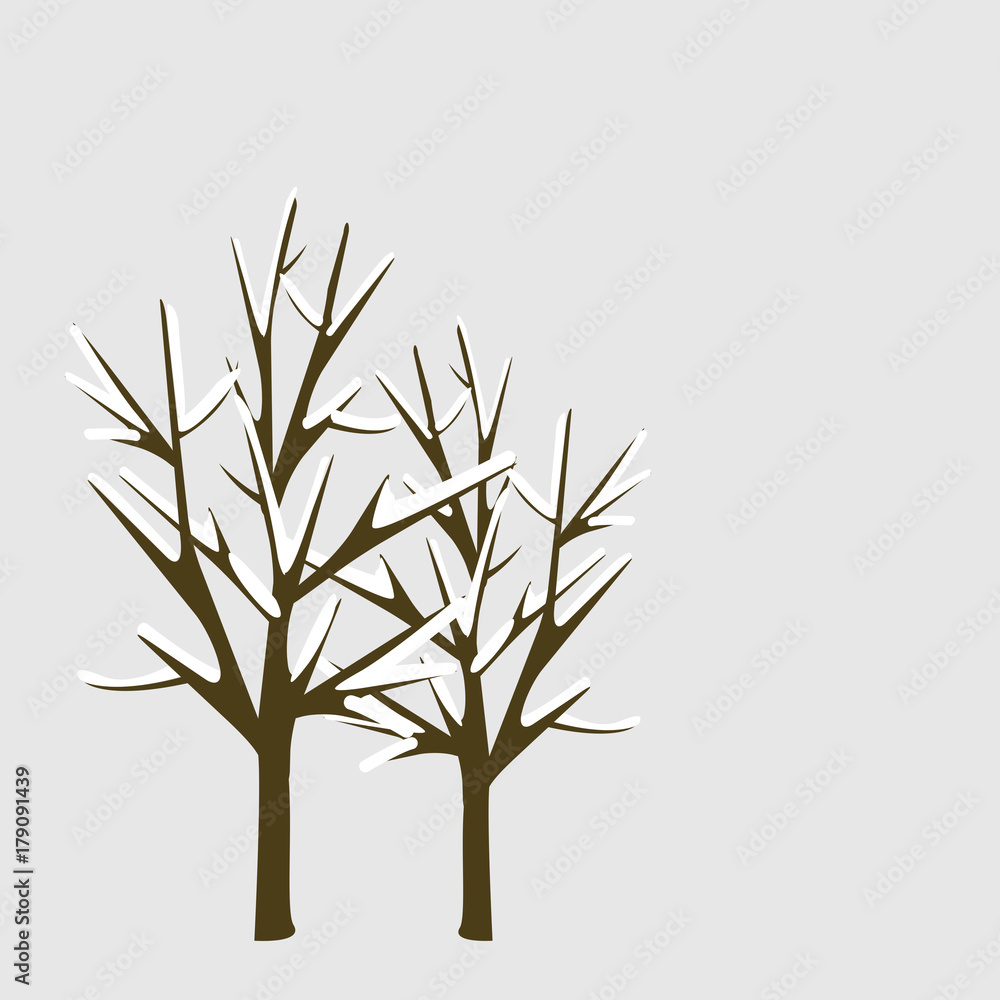 Obraz premium tree branch in winter