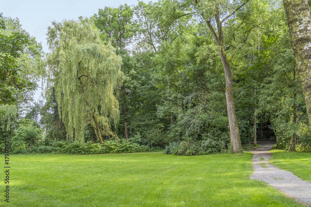 Obraz premium idyllic park scenery