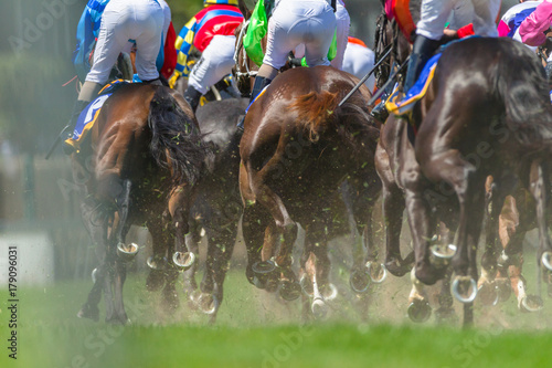 Horse Racing Legs Hoofs photo