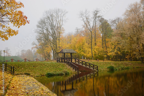 Autumn landscape with lake. Autumn October morning on the lake © Ольга Мещерякова