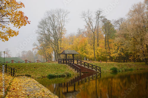 Autumn landscape with lake. Autumn October morning on the lake