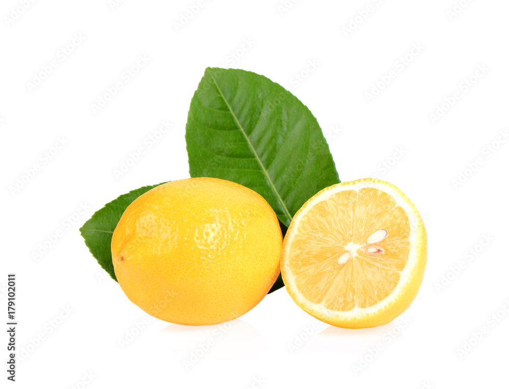lemon on white background lemon on white background