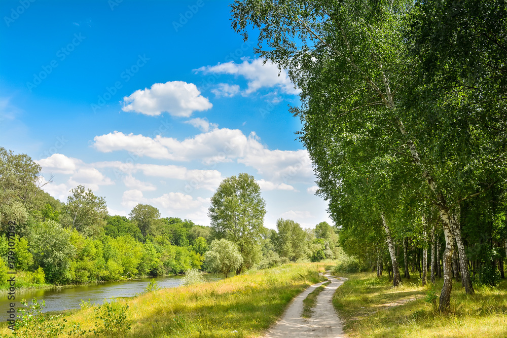 Dirt road in the forest and a river.