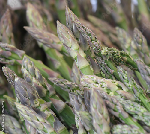 green asparagus tip with macro technique photo