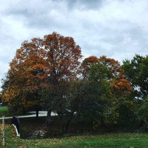 Beautiful fall on a cloudy day
