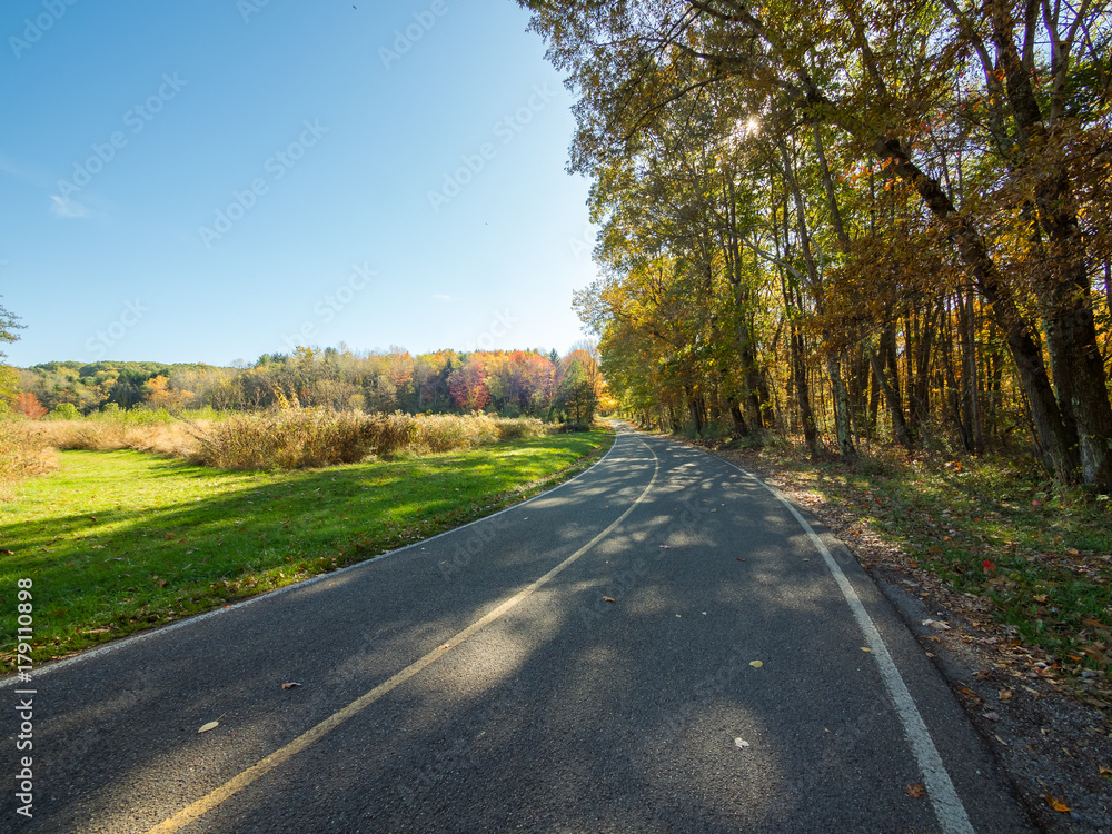 Fototapeta premium Road in the fall