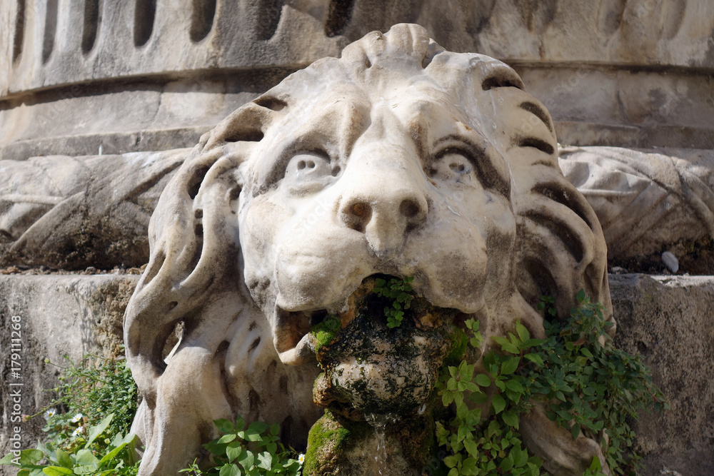 Naklejka premium Statue tête de lion