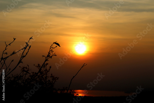Silhouette of tree branches and leaves in autumn in front of the sun at sunset