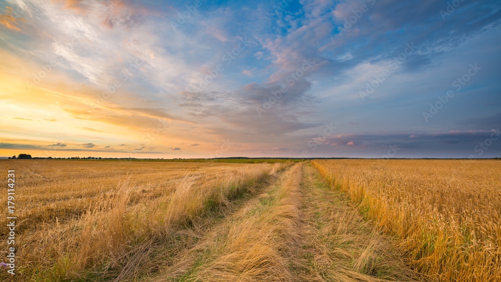 Beautiful sunset over sandy road through fields. Beautiful rural scene. Beautiful sunset over sandy road through fields. Beautiful rural scene.
