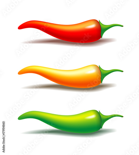 Vector semi realistic illustration of hot chili pepper. Red, yellow and green spice. Isolated on white
