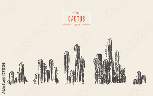 Set of cactuses hand drawn vector illustration ink