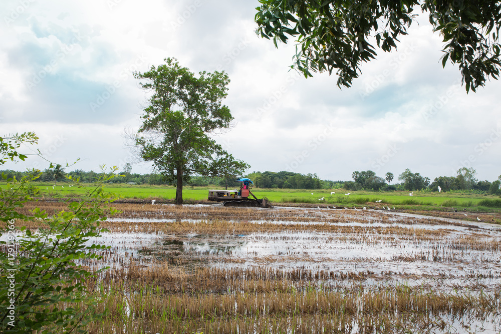 Farmer in tractor preparing land with seedbed cultivator