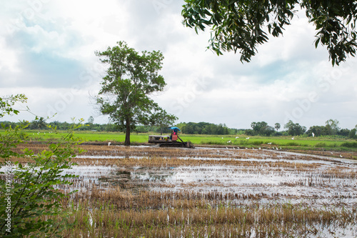 Obraz na płótnie Farmer in tractor preparing land with seedbed cultivator
w salonie