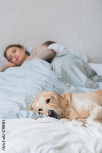 Dog sleeping on bed with young couple