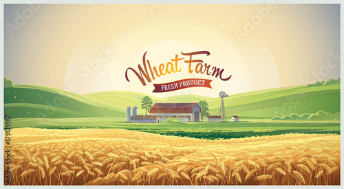 Summer rural landscape with wheat field and farm