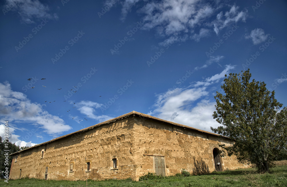 Ferme de la Grande-Grange à Francheleins, Ain, France