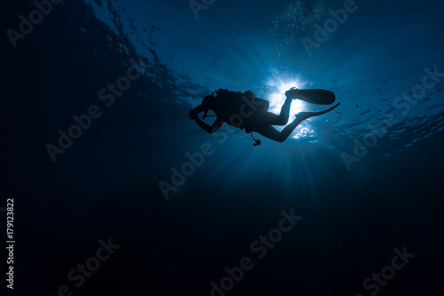 Принти на полотні Scuba diver against the sun