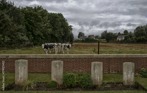 Cimetière britannique de la Grande Guerre à Fricourt, Somme, France photo