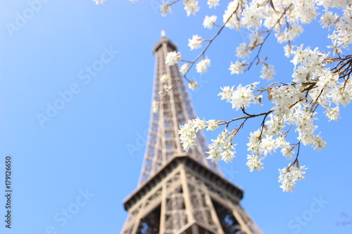 Eiffel tower and blue sky with white flower © Maho