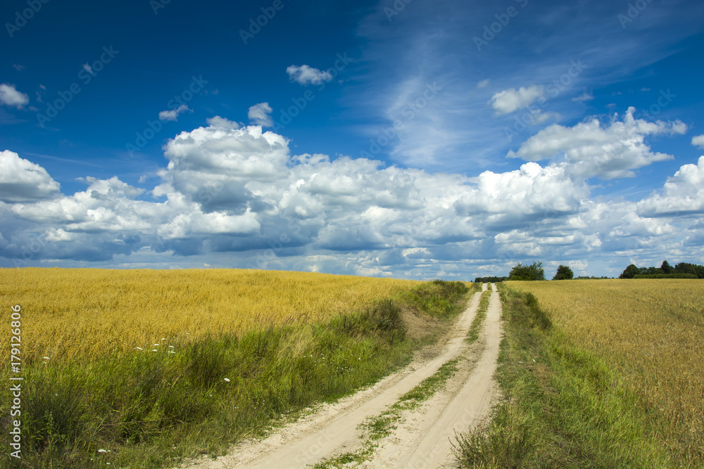 Road and field