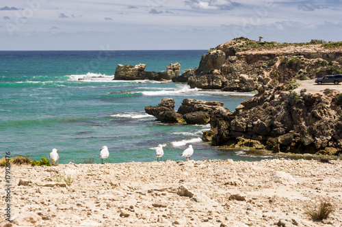 Port Macdonnell - South Australia