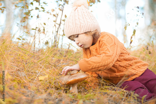 Little kid picking edible musroom, autumn forest.