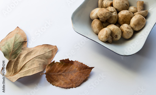 Mushrooms in plate and autumn leaves