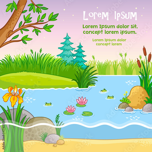 Vector background illustration with nature. Pond with frogs and plants in a children's style.
