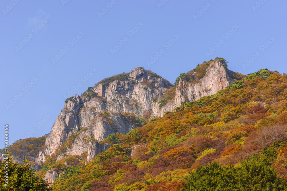  Autumn at Baekyangsan mountain,South Korea.