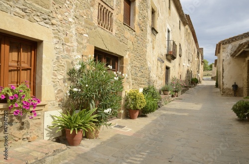 Plants pots in stone street in Monells  Girona  Spain