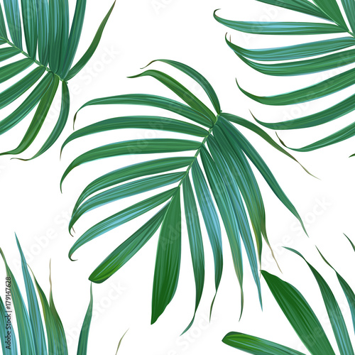  Vector palm leaf background. Tropical leaves seamless pattern. Exotic design. Hawaiian print. Jungle plants. Summer texture.