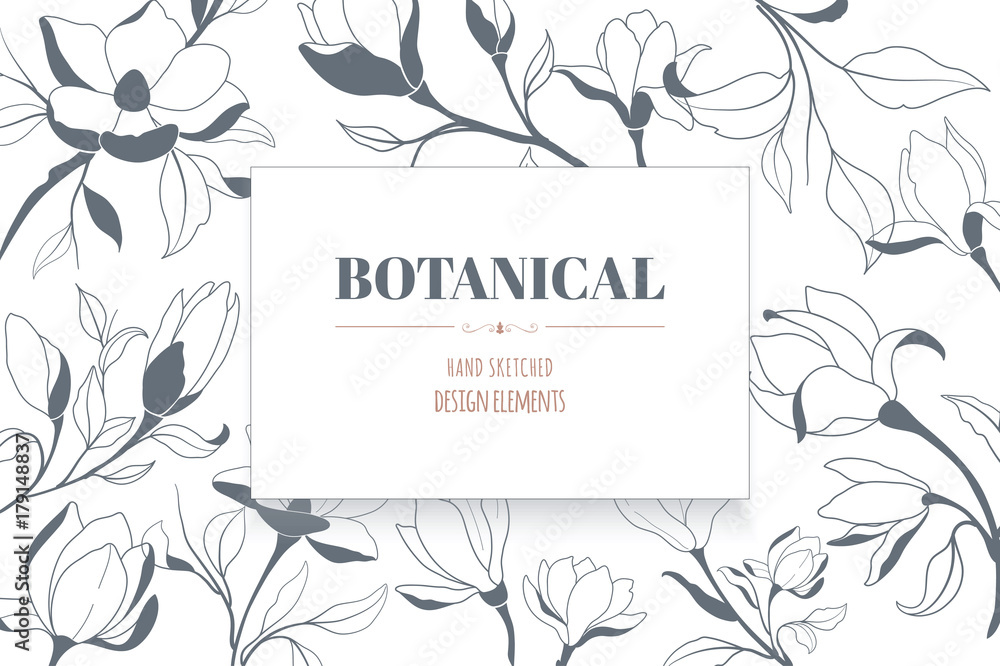 Fototapeta premium Floral Elements. Line Artwork