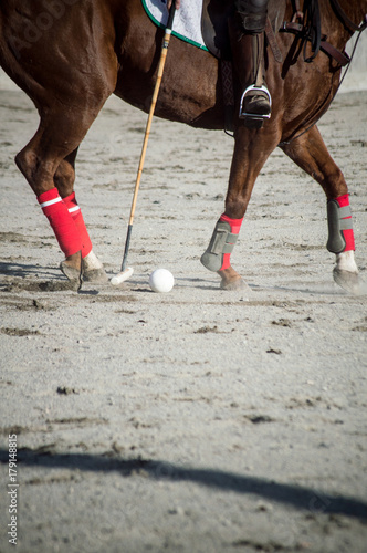 Horse Legs and Polo Mallet
