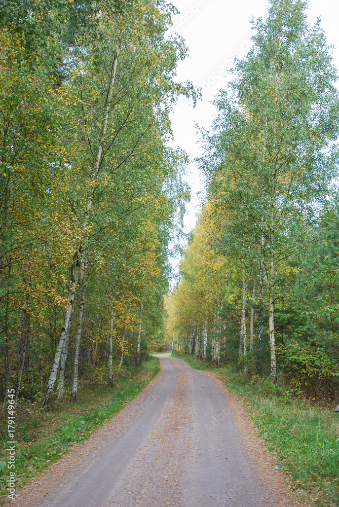 Naklejka premium Beautiful colored country road