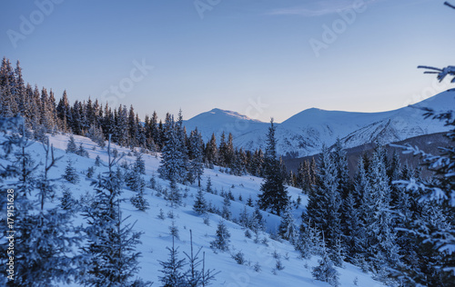 Landscape of mountains and forest in winter. Mountain range at the background.